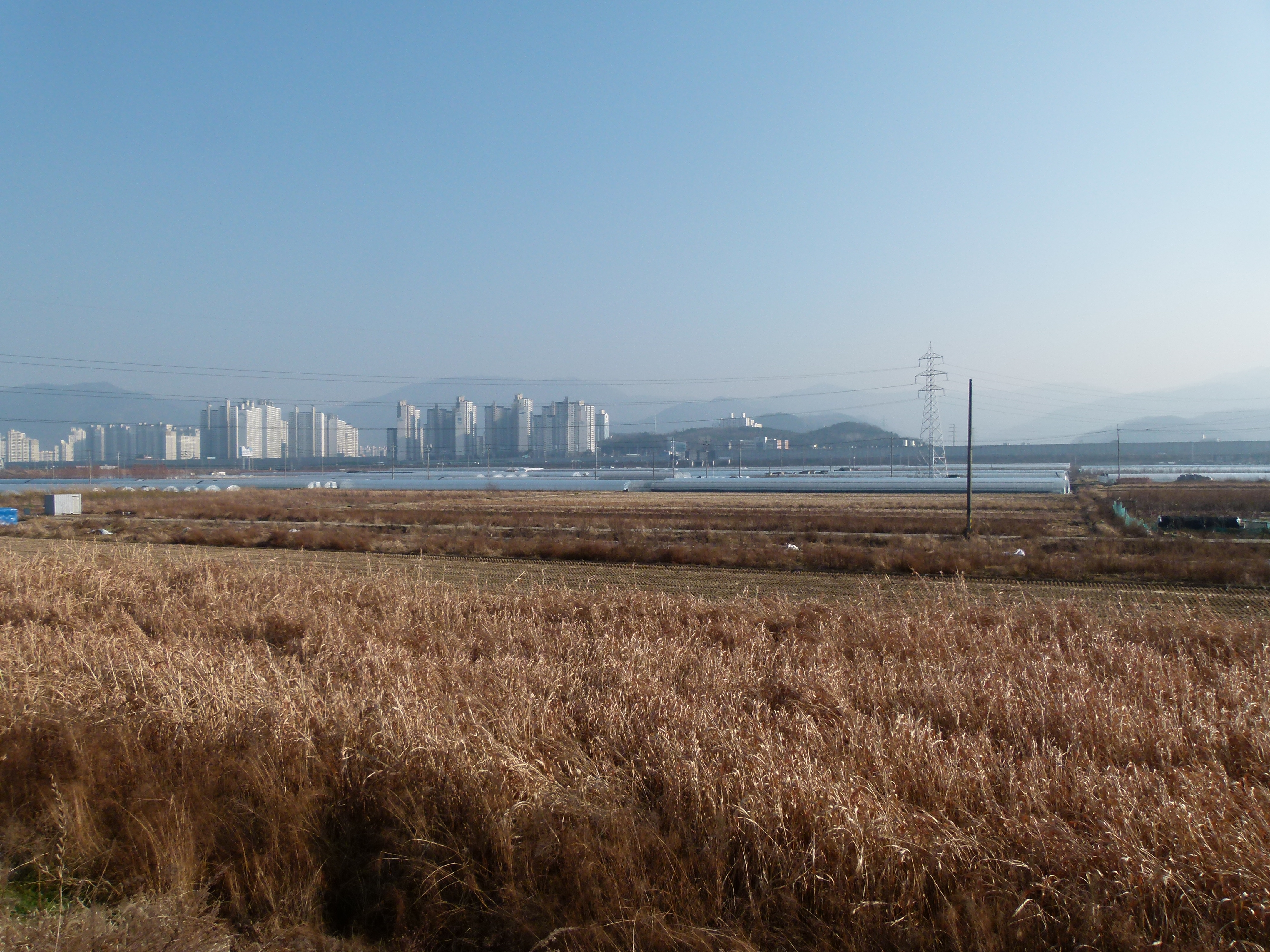 Daegu